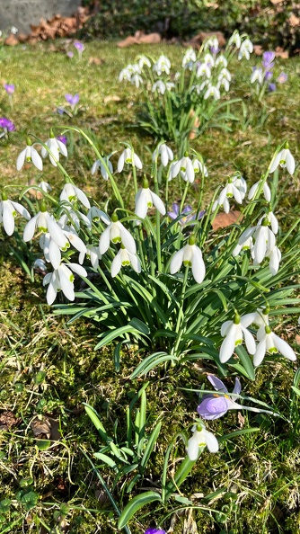 23-02-13 12-53-41 4190.jpeg